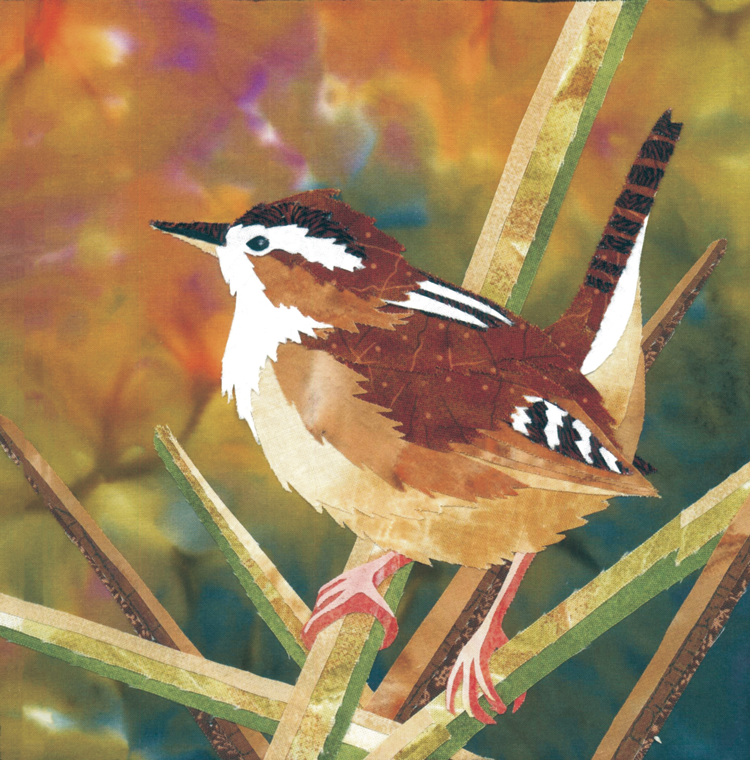 Marsh Wren Original Illustration