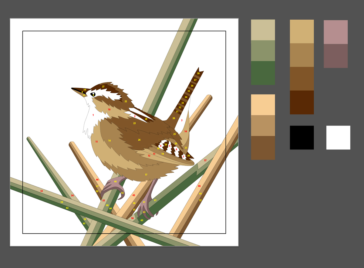 Marsh Wren Template