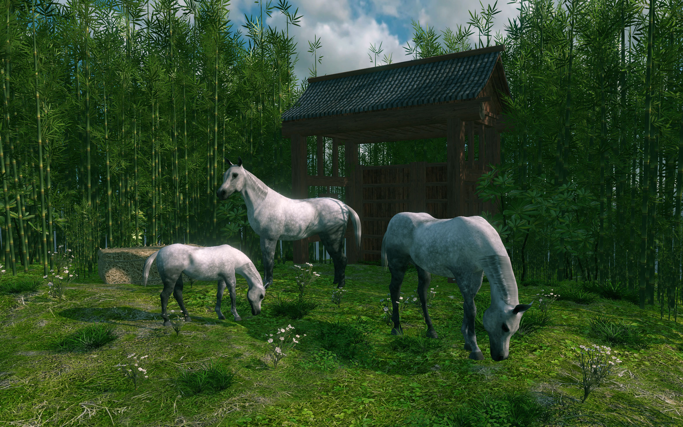 FlowScape horses