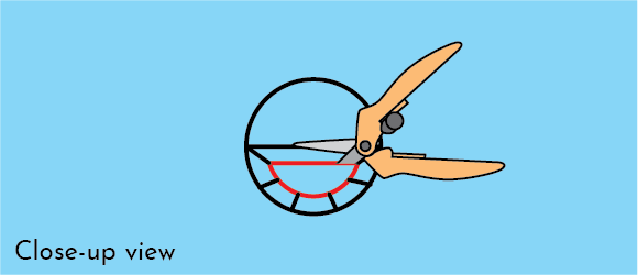 Cut and remove semicircle