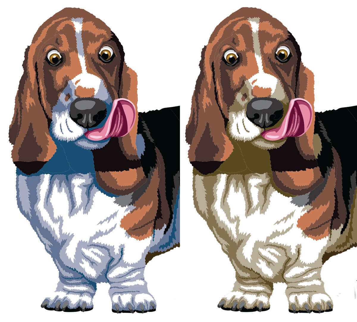 Comparison of dog's body colors