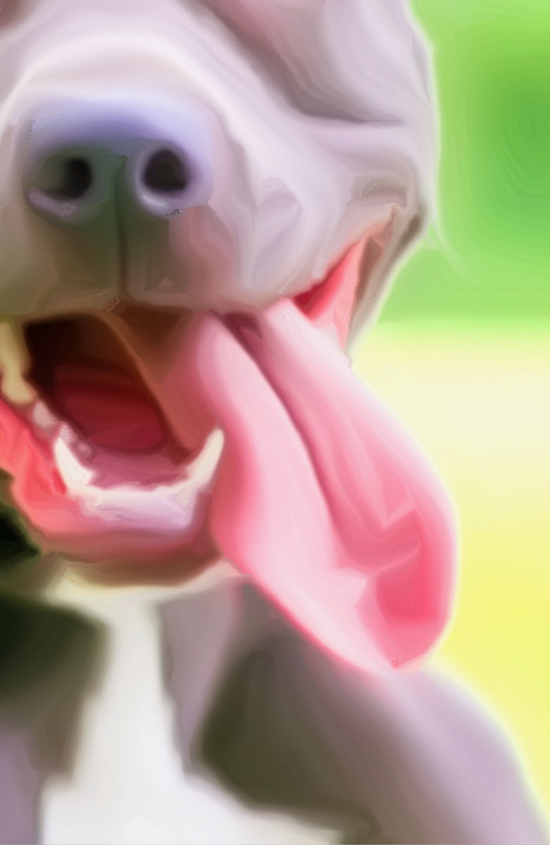 Dog Tongue Reference