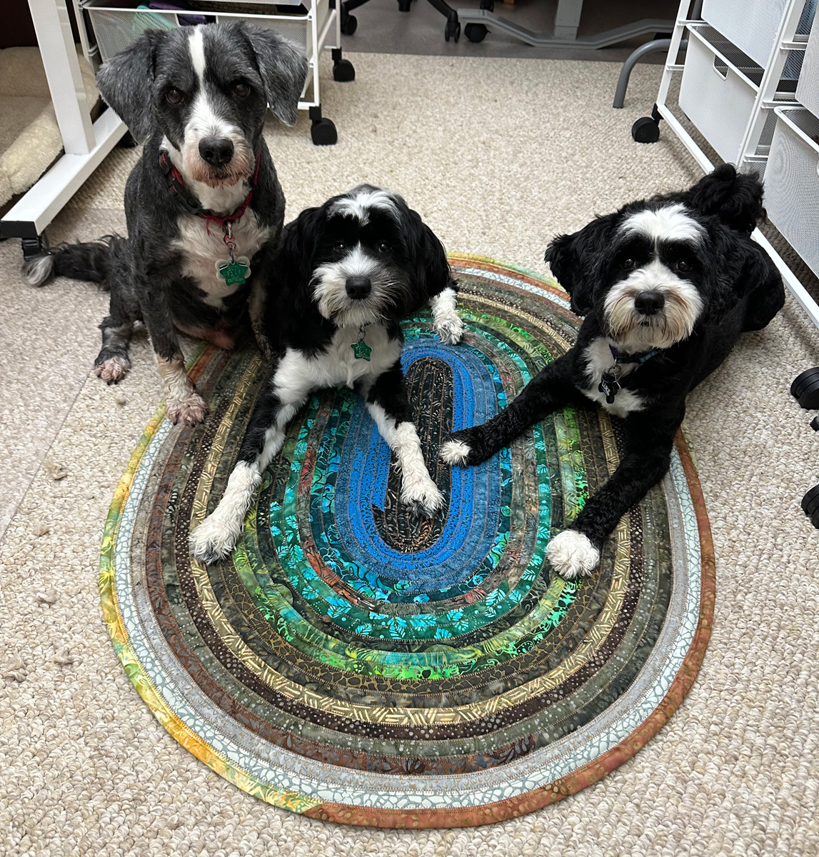 Puppies on jelly roll rug