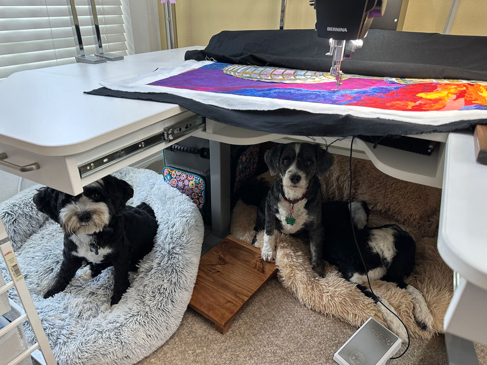 Quilting Puppy Party