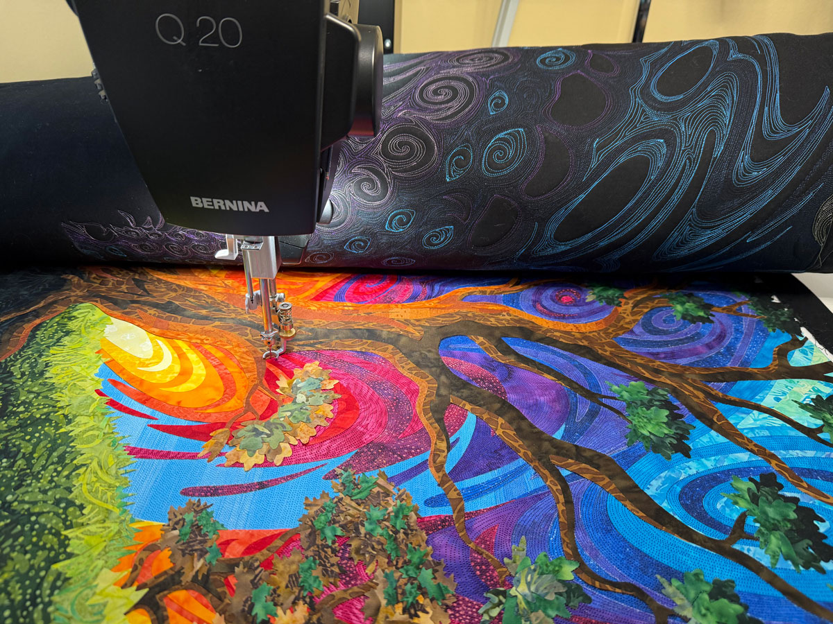 Quilting Arcane Snap on a Bernina Q20