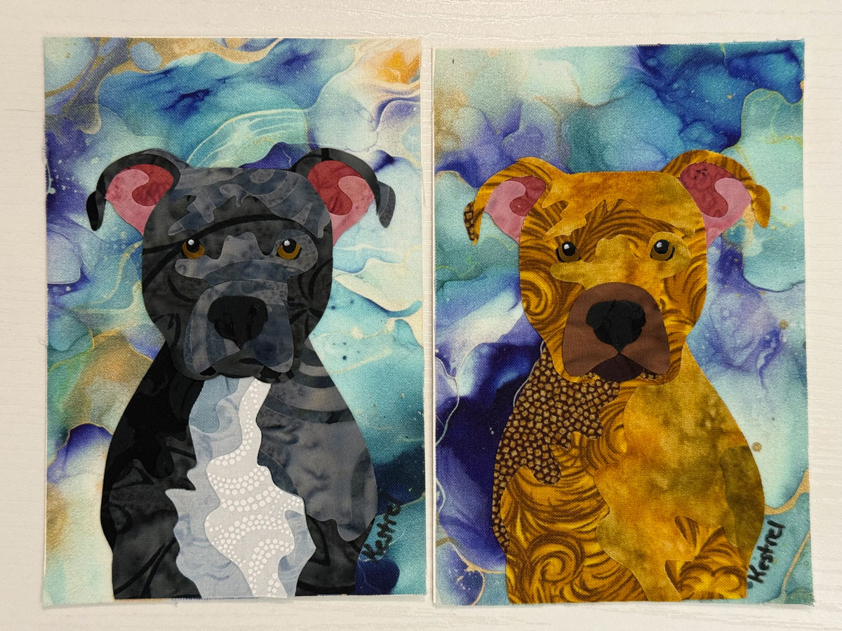 Barley and Rosie, two pitbull mixes
